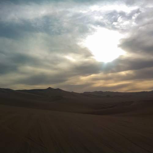 Photo #10785040