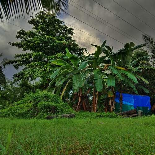 Photo #10785400