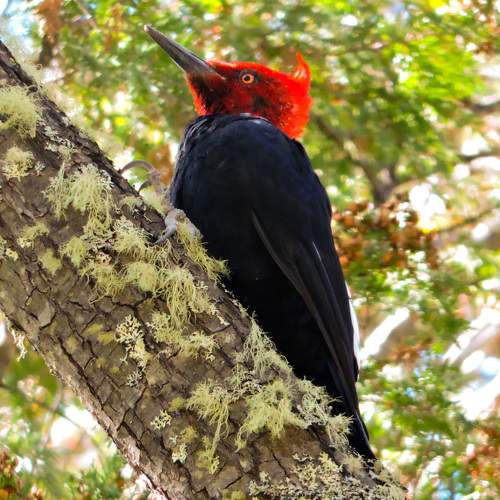 Photo #10785608