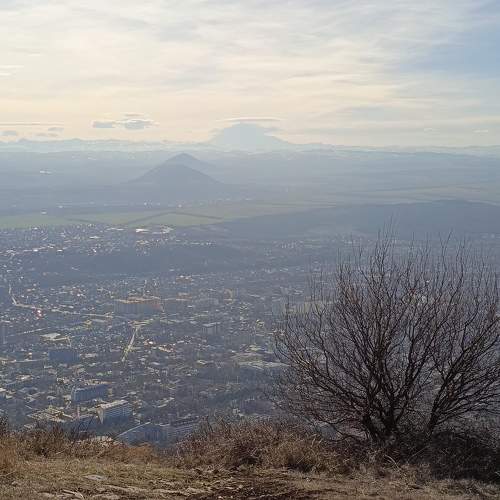 Photo #10785783
