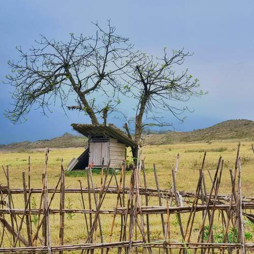 Photo #10786005