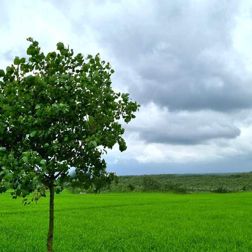 Photo #10786025