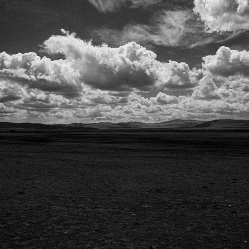 Photo #10786060