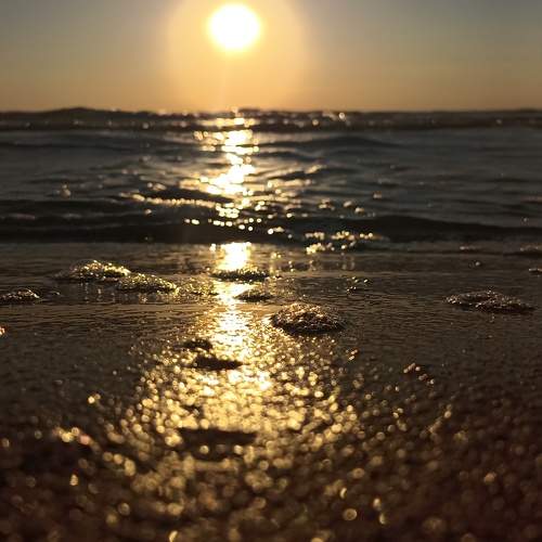 Photo #10786093