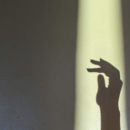 Photo #10786111