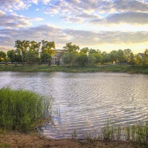 Photo #10786212