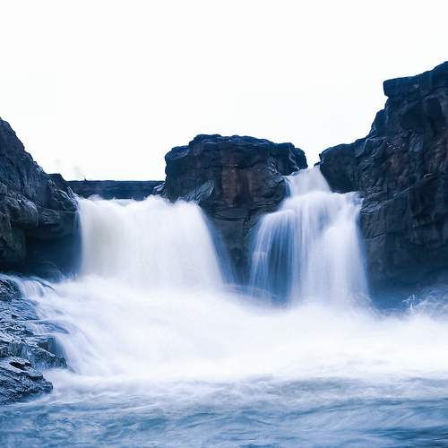 Photo #10786213