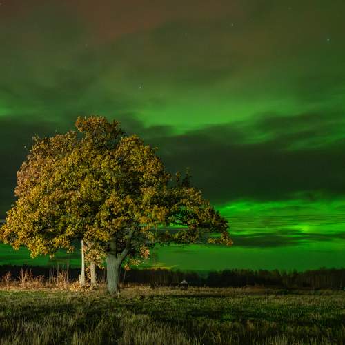 Photo #10786256