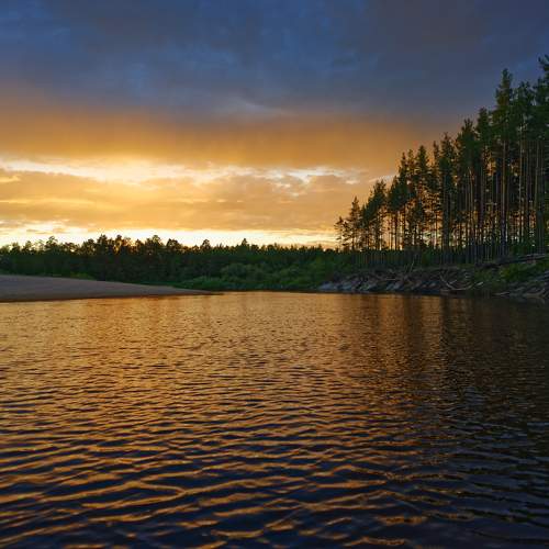 Photo #10786569