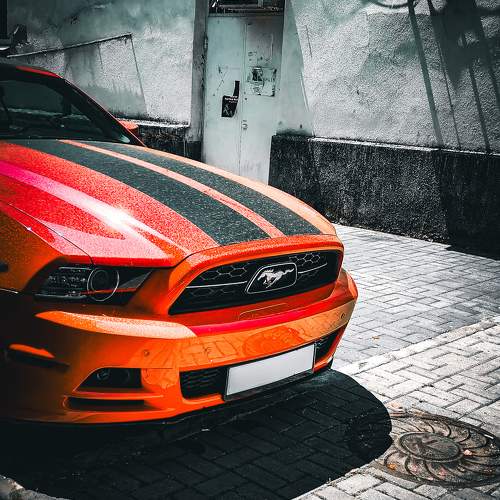 Photo #10786750