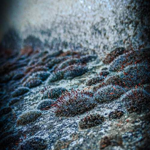 Photo #10786751