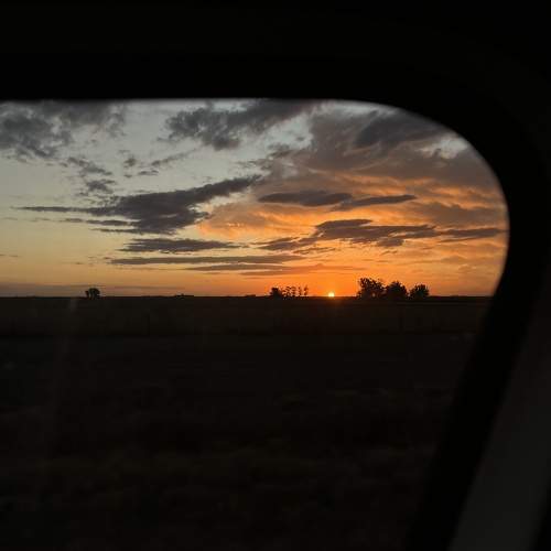 Photo #10787321