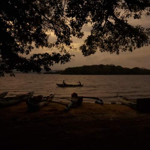 Photo #10787689
