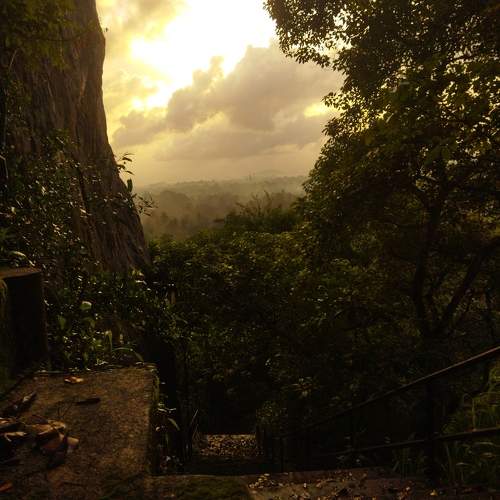Photo #10787691