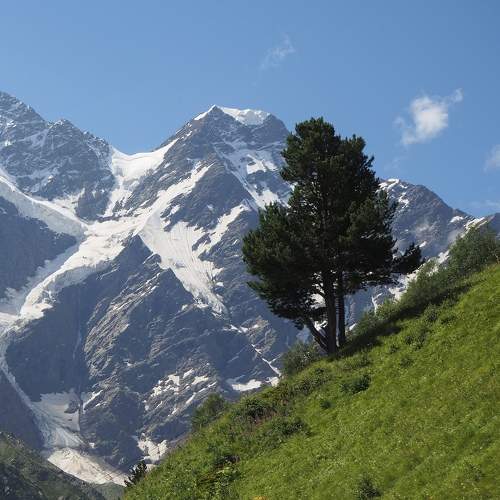 Photo #10787775