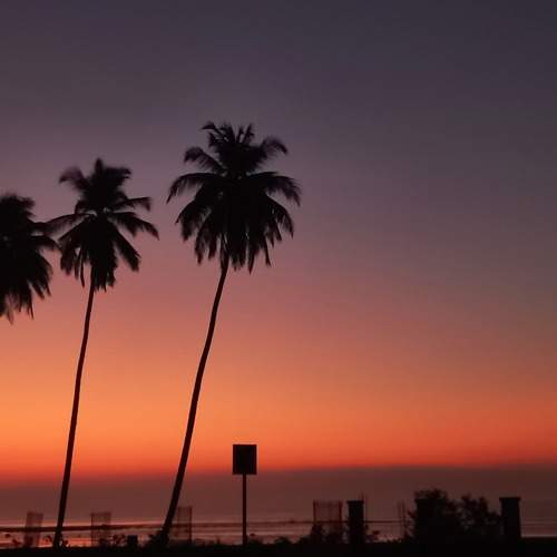 Photo #10788019
