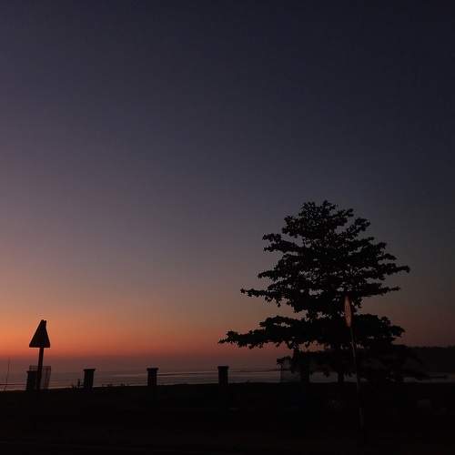 Photo #10788020
