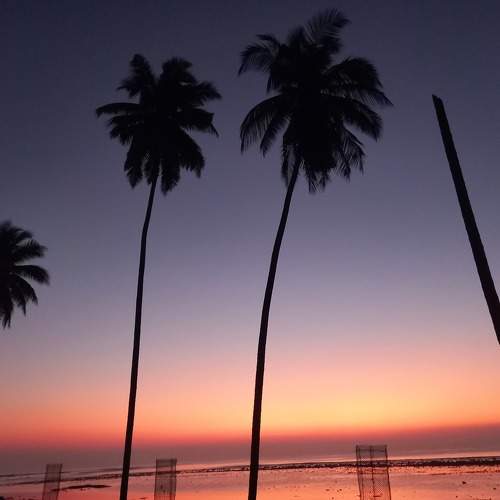 Photo #10788021