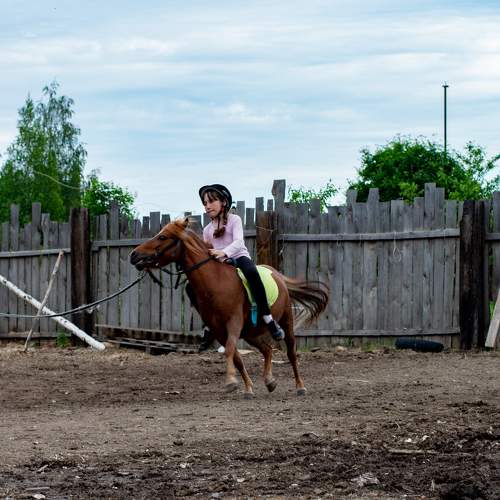 Photo #10788094