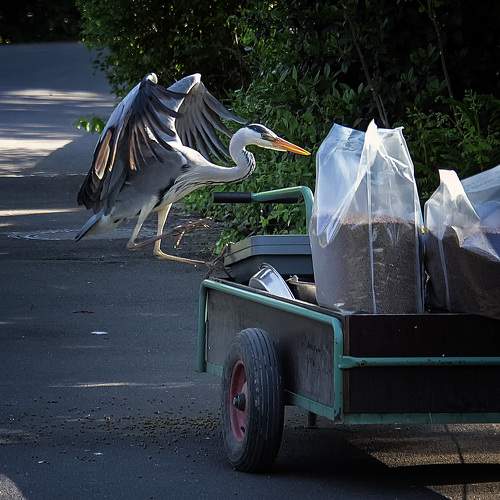Photo #10788340