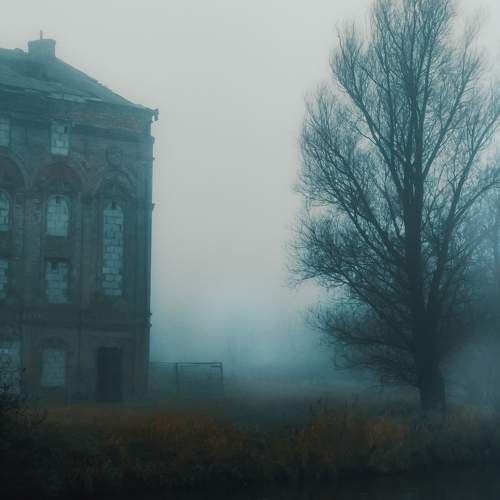 Photo #10788536