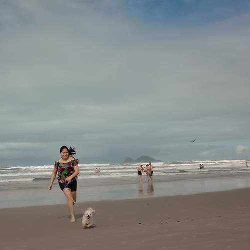 Photo #10788816