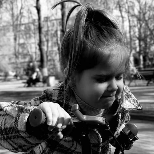 Photo #10788844