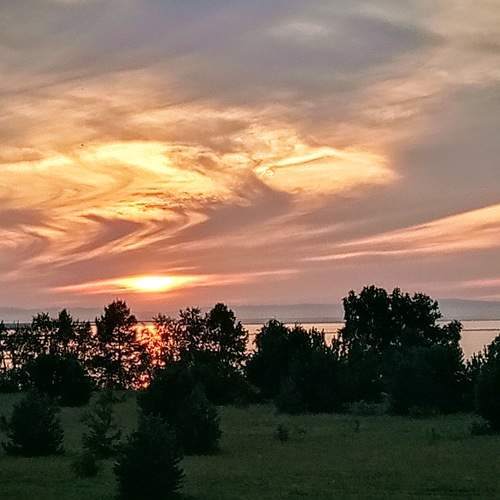 Photo #10788991