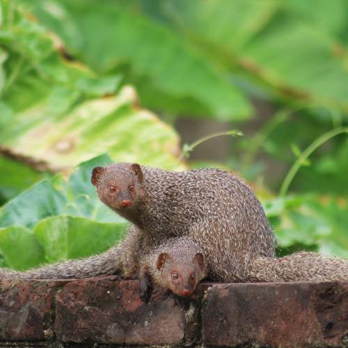 Photo #10789098