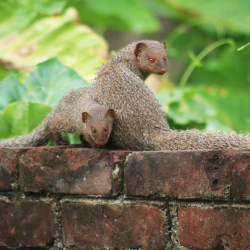 Photo #10789099