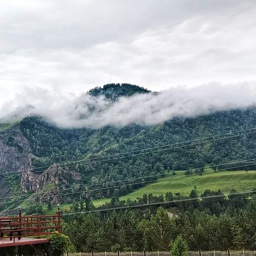 Photo #10789214