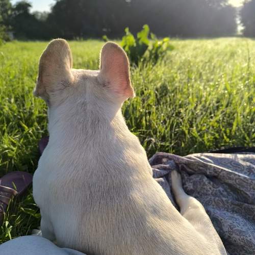 Photo #10789789