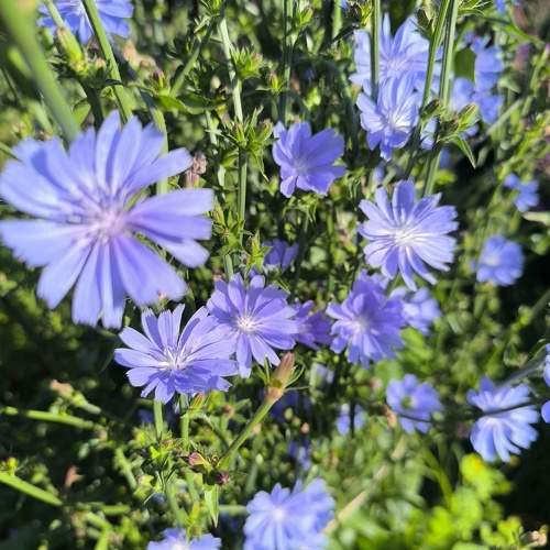 Photo #10789795