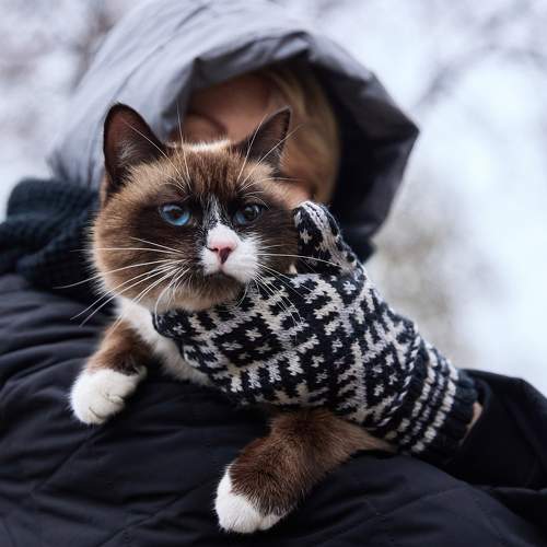 Photo #10789880