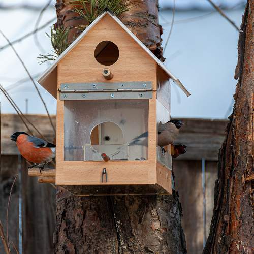 Photo #10790528
