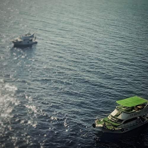 Photo #10791110