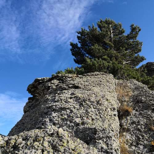 Photo #10791707