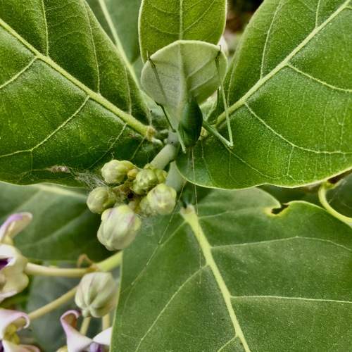 Photo #10791810