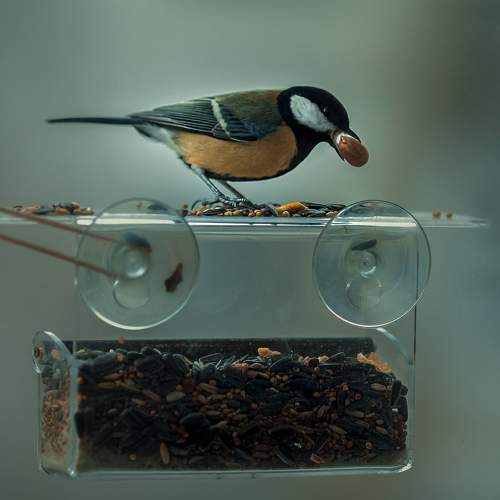 Photo #10792089