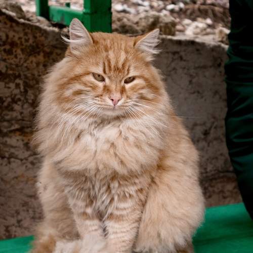 Photo #10792150