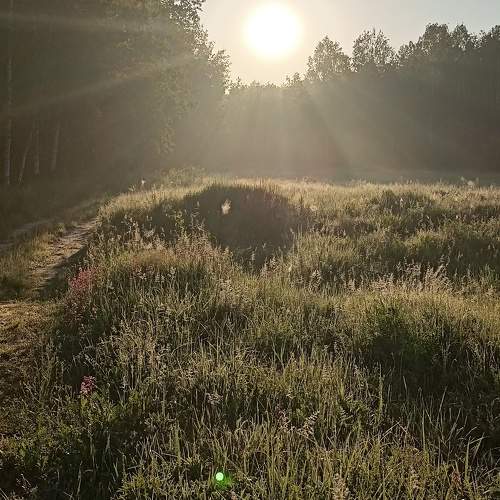Photo #10792366