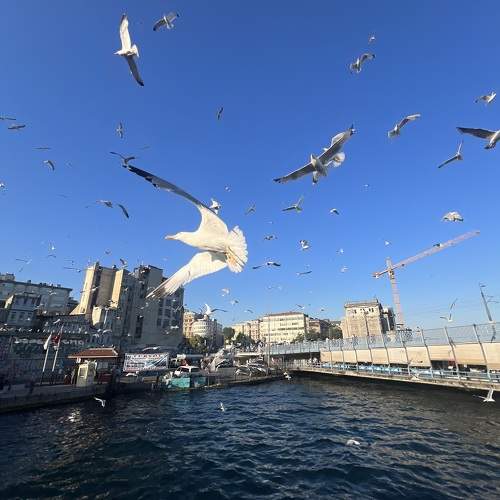 Photo #10792391