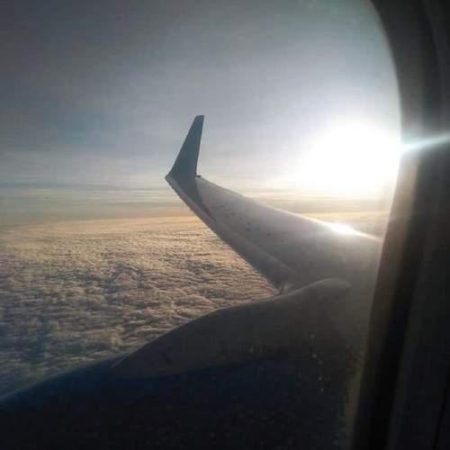 Photo #10792658