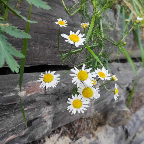 Photo #10792791