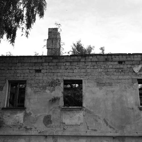 Photo #10792812