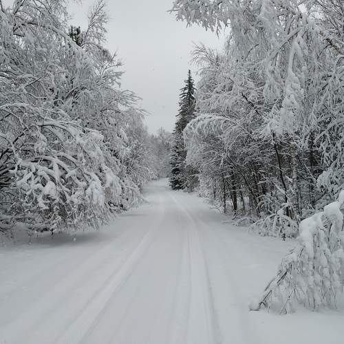 Photo #10792913