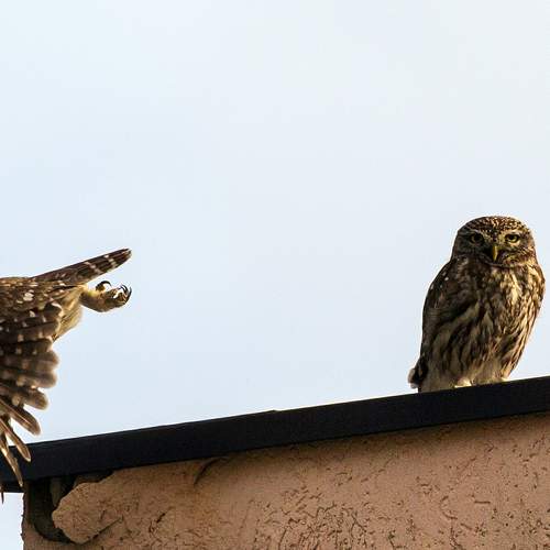 Photo #10793095