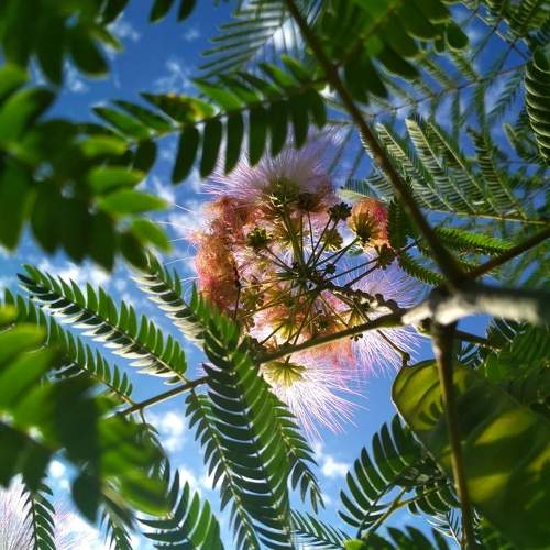 Photo #10793153