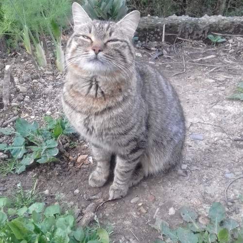 Photo #10793211