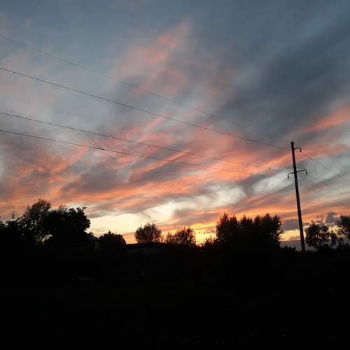 Photo #10793243